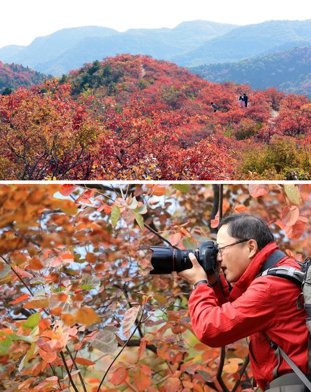 【重磅消息】2018”三山同登“群众登山健身大会新乡南太行关山分会场开始征集报名啦！