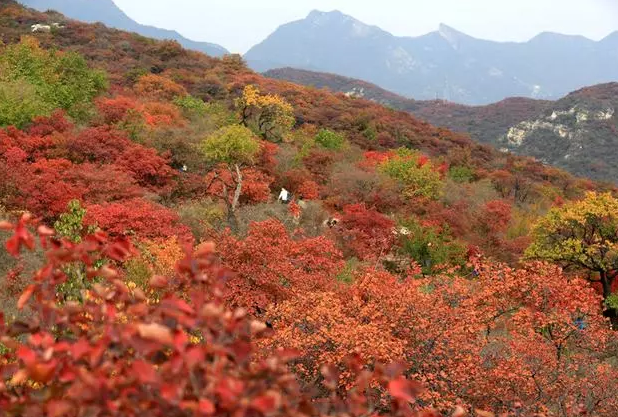 【重磅消息】2018”三山同登“群众登山健身大会新乡南太行关山分会场开始征集报名啦！