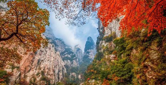 逢十月金秋，赏嵩山红叶，观音乐大典