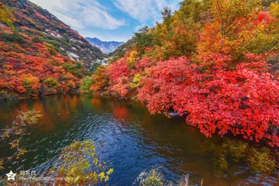 逢十月金秋，赏嵩山红叶，观音乐大典