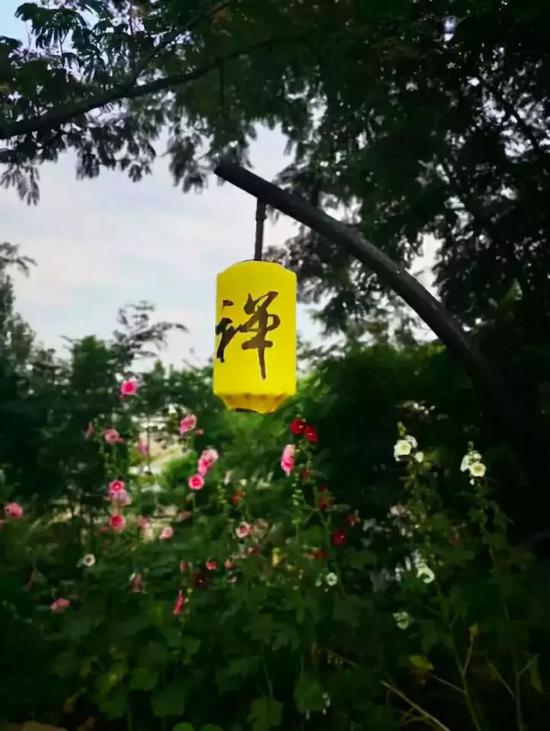 逢十月金秋，赏嵩山红叶，观音乐大典