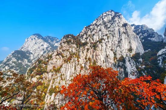 逢十月金秋，赏嵩山红叶，观音乐大典