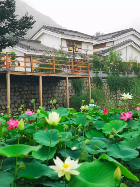 逢十月金秋，赏嵩山红叶，观音乐大典