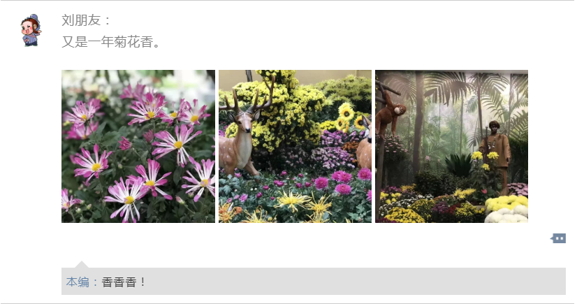 嘿，约个时间来清明上河园赏菊啊~~
