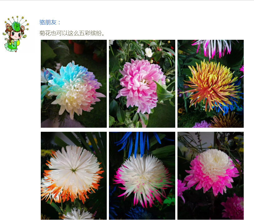 嘿，约个时间来清明上河园赏菊啊~~