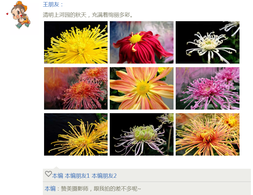 嘿，约个时间来清明上河园赏菊啊~~