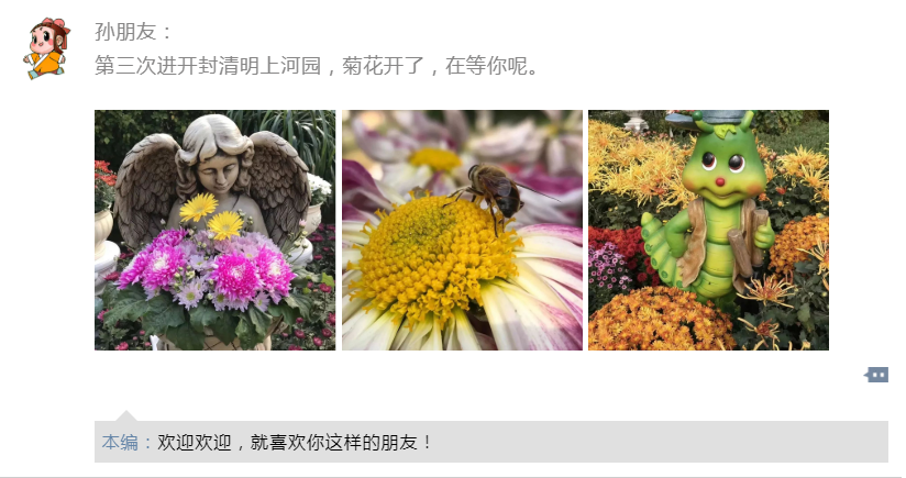 嘿，约个时间来清明上河园赏菊啊~~