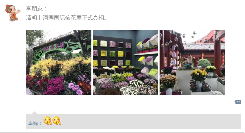 嘿，约个时间来清明上河园赏菊啊~~