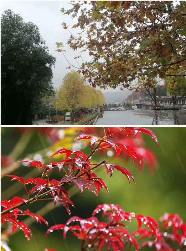 晚秋的雨
