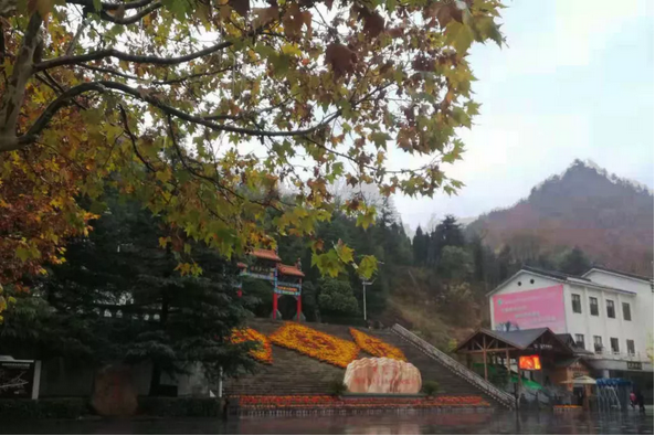 晚秋的雨