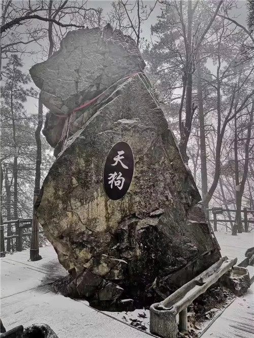 2018年第一场雪来了 西峡老界岭门票全免