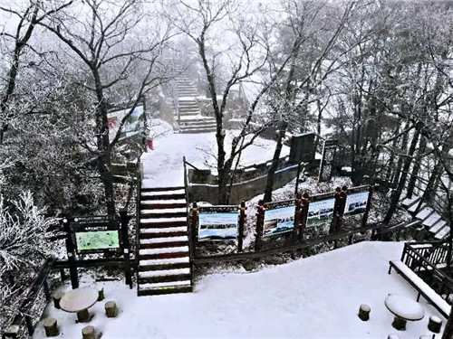 2018年第一场雪来了 西峡老界岭门票全免