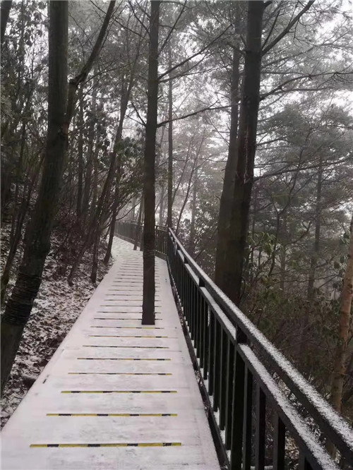 2018年第一场雪来了 西峡老界岭门票全免
