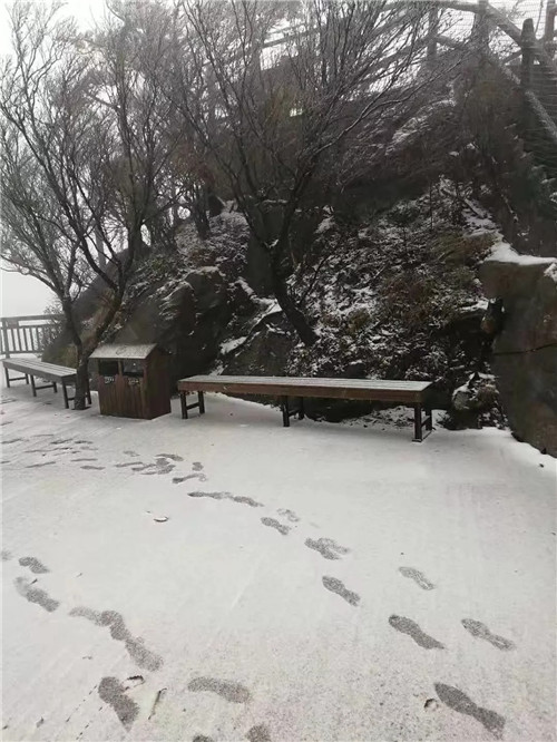 2018年第一场雪来了 西峡老界岭门票全免