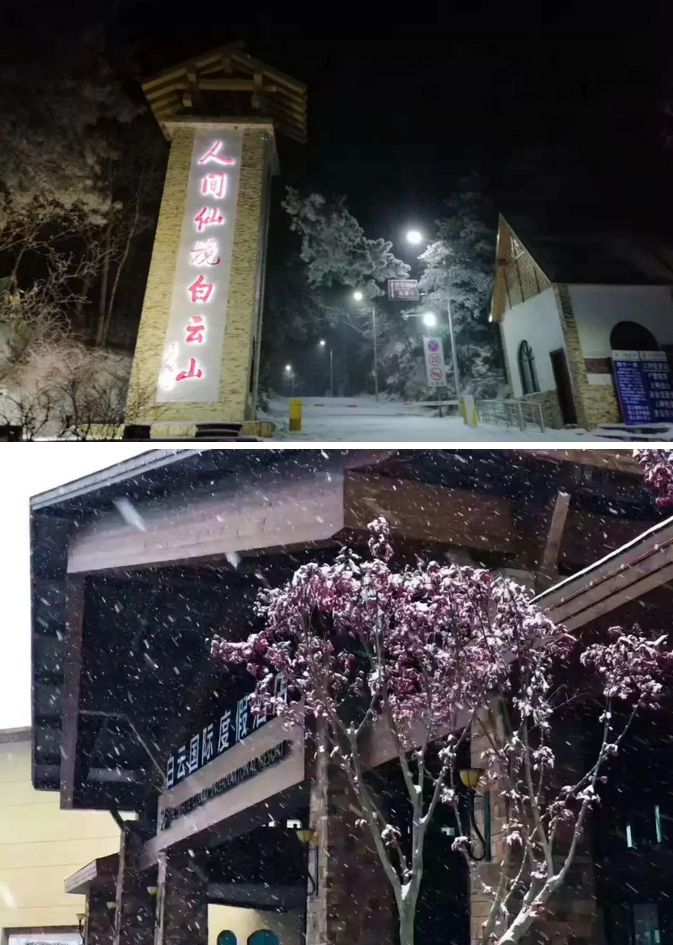 霜红尚未尽，漫山已染白