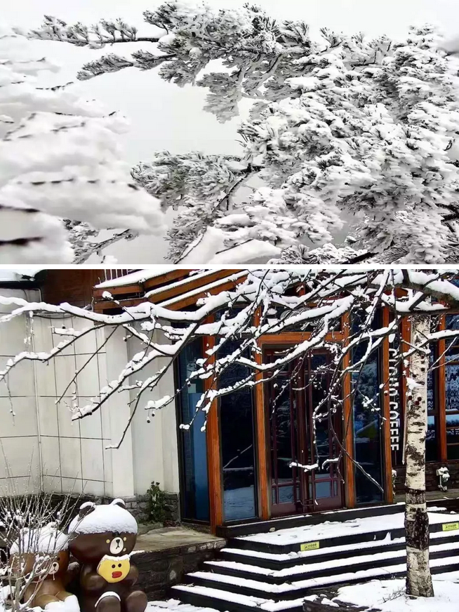 霜红尚未尽，漫山已染白