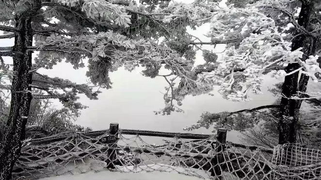 霜红尚未尽，漫山已染白
