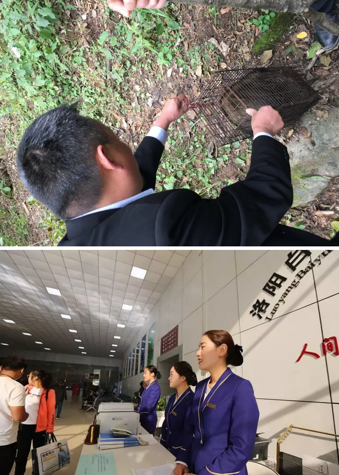 爱岗敬业，白云山的另一道风景线