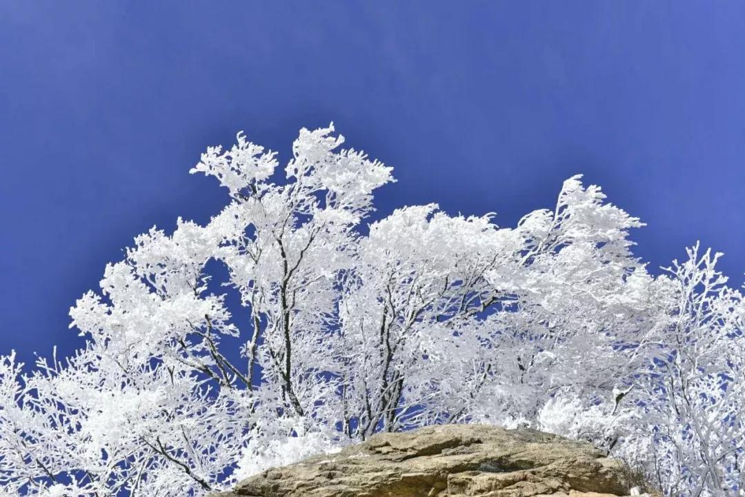 “冰封奇景 惊艳雪山”2018老君山冰雪摄影节开启！