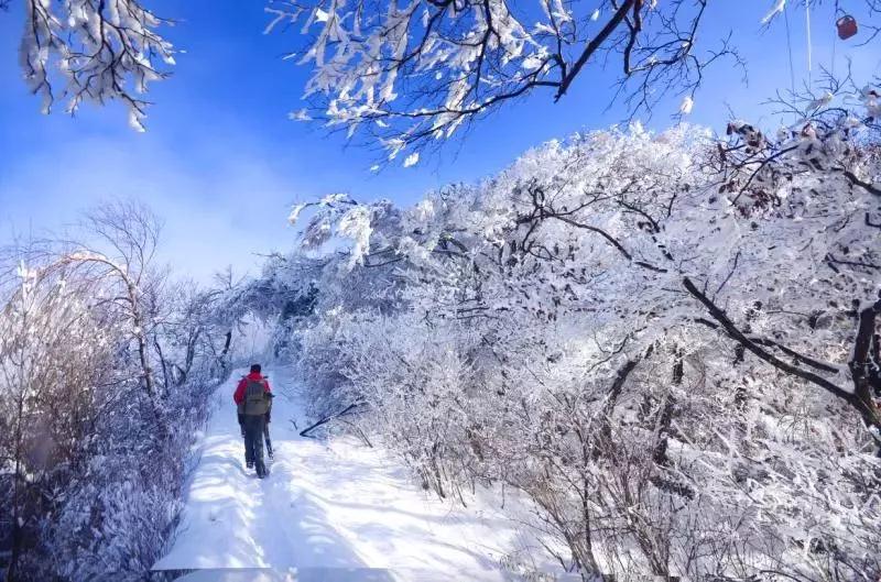 “冰封奇景 惊艳雪山”2018老君山冰雪摄影节开启！