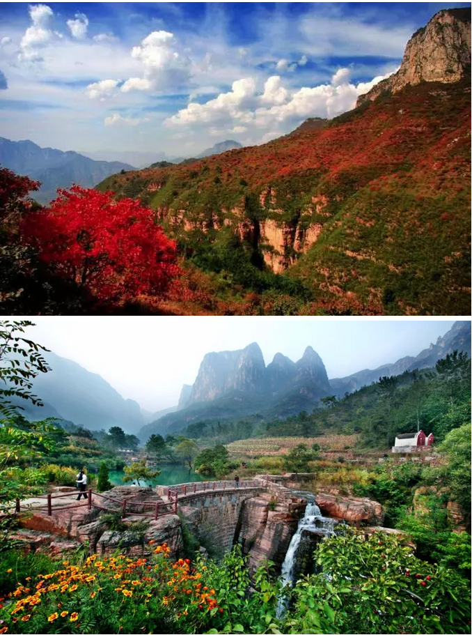 赏过“秋香”，发现冬景之美！