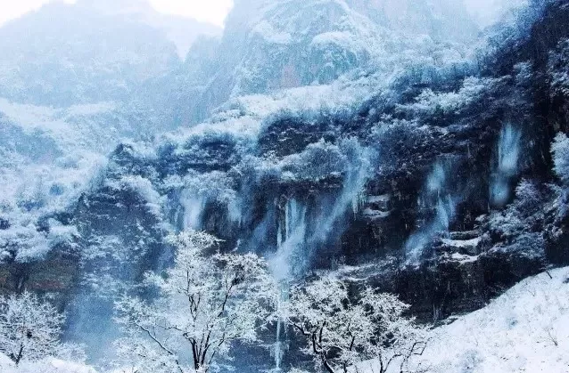 赏过“秋香”，发现冬景之美！