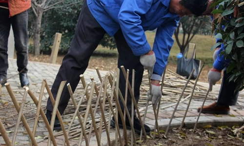 守护花海 绿博园在行动