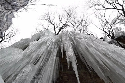 就在今天！“云台山冰瀑”全网刷屏！