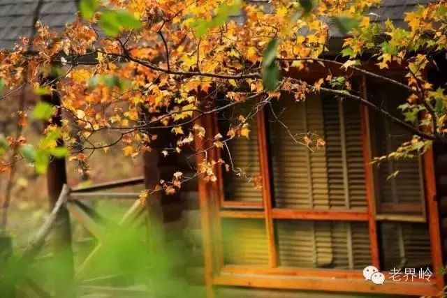 老界岭度假卡重磅回归！元月18日-2月28日 充多少，送多少