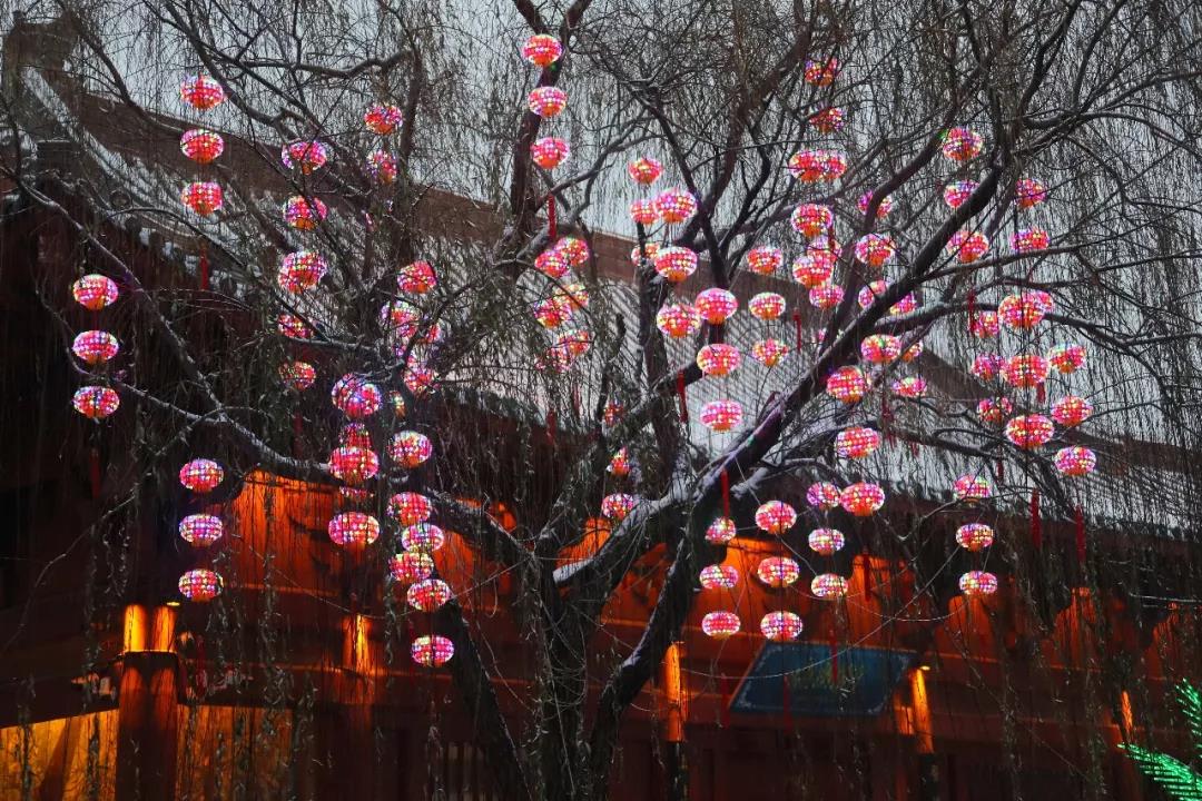 美爆！第二届国际灯笼节邀你一起过新年~