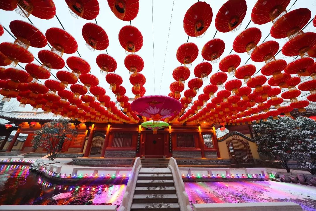 美爆！第二届国际灯笼节邀你一起过新年~