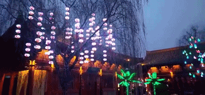 美爆！第二届国际灯笼节邀你一起过新年~