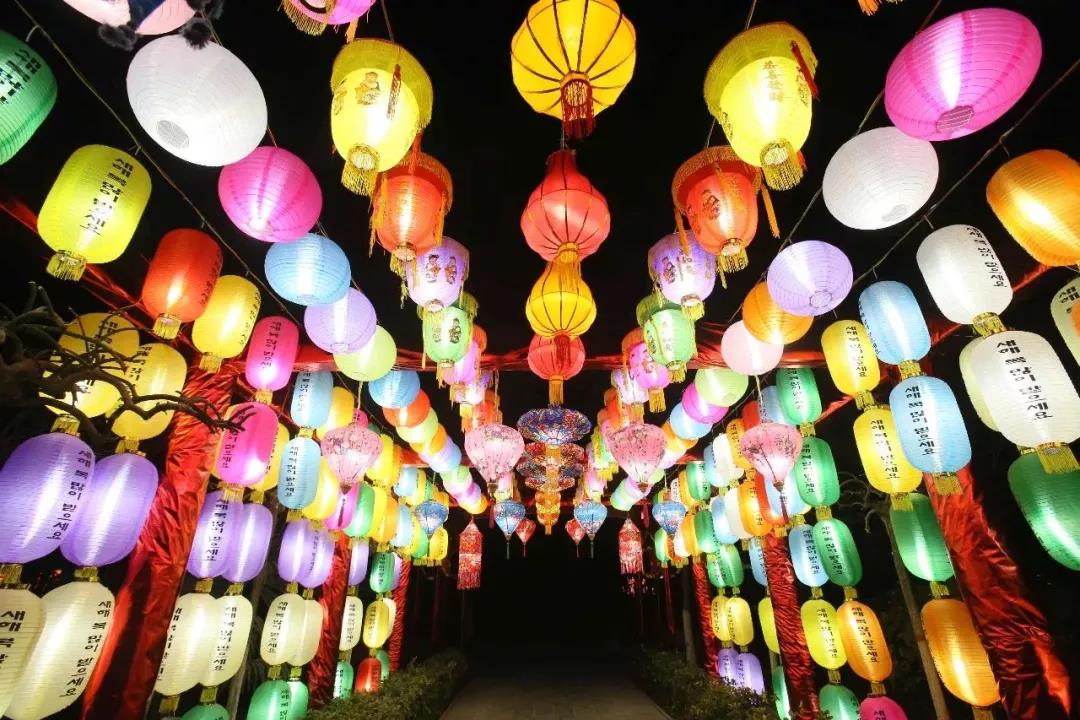 美爆！第二届国际灯笼节邀你一起过新年~