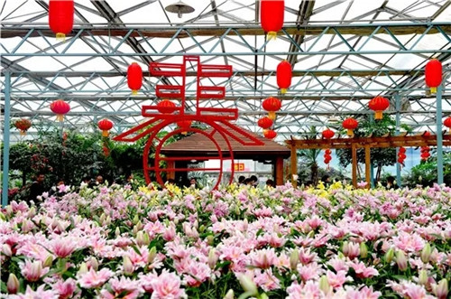 观民俗、赏花灯、看花展、品美食 绿博园里过大年