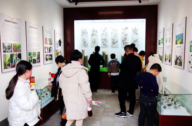 精彩纷呈 热闹喜庆 内乡县衙春节旅游迎来开门红