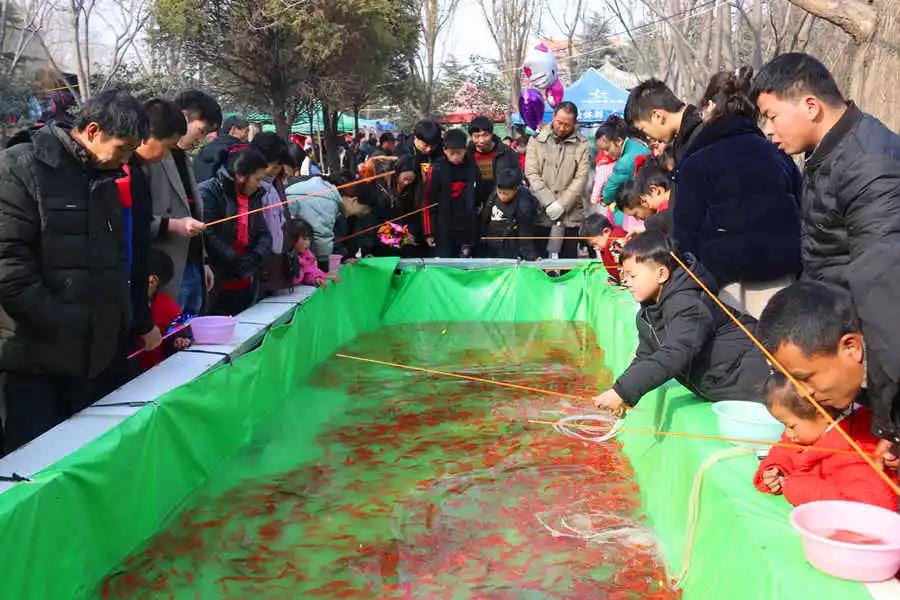 这个春节，摘星台景区人气爆棚！超多美图大放送，快来大饱眼福~