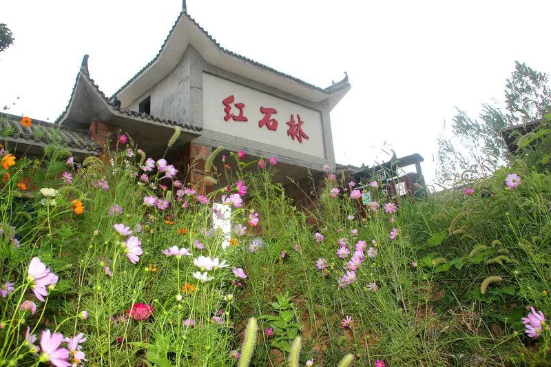 元宵佳节将至，一起相约伏羲山旅游区