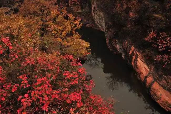 元宵佳节将至，一起相约伏羲山旅游区