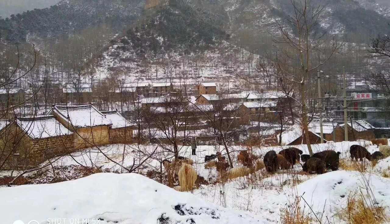 郭亮村又双叒叕下雪了,元宵节一起闹起来! 郭亮村又双叒叕下雪了,元宵节一起闹起来!