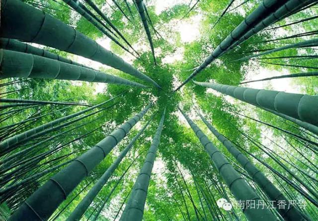 元宵节福利来啦！长寿香严寺门票半价！