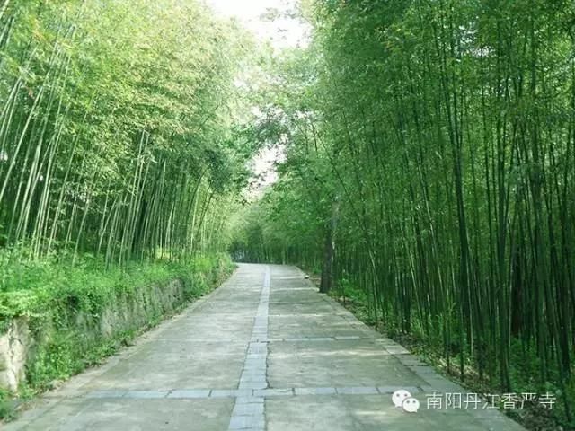 元宵节福利来啦！长寿香严寺门票半价！