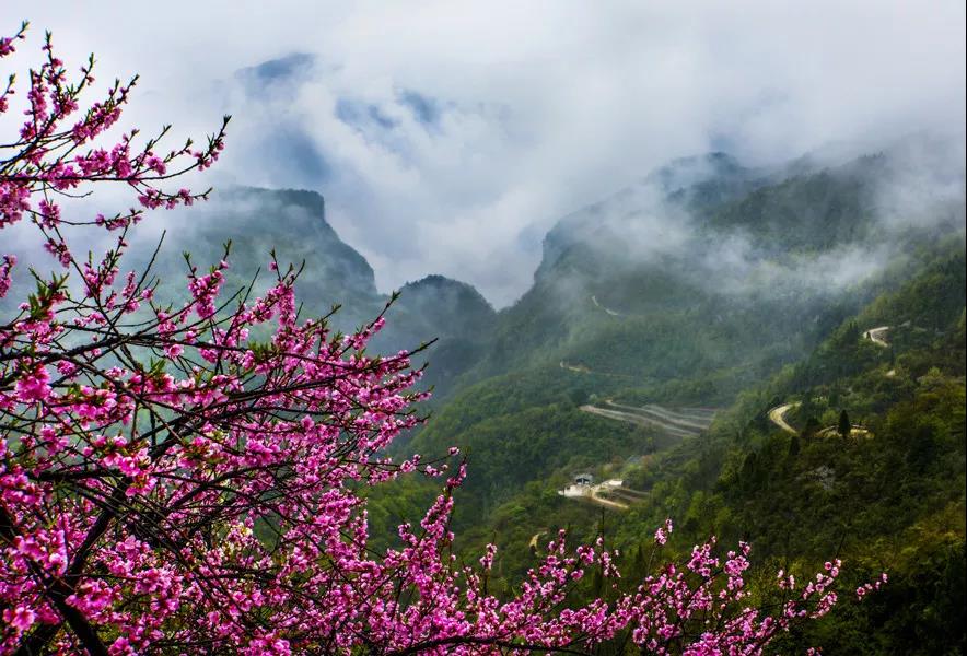 3月，云台山对全国女士免门票！