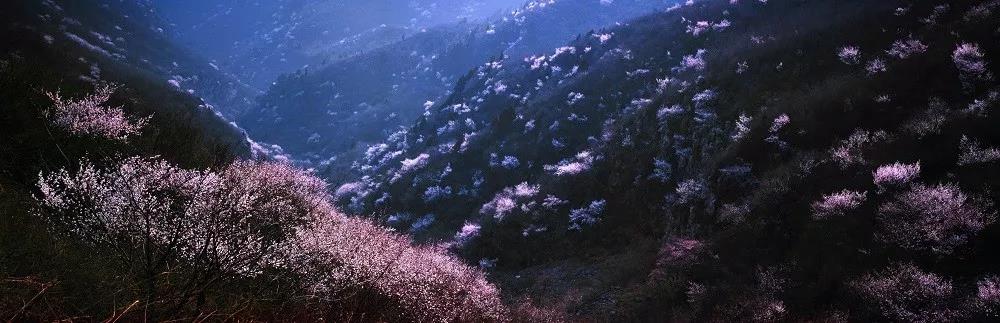 3月，云台山对全国女士免门票！