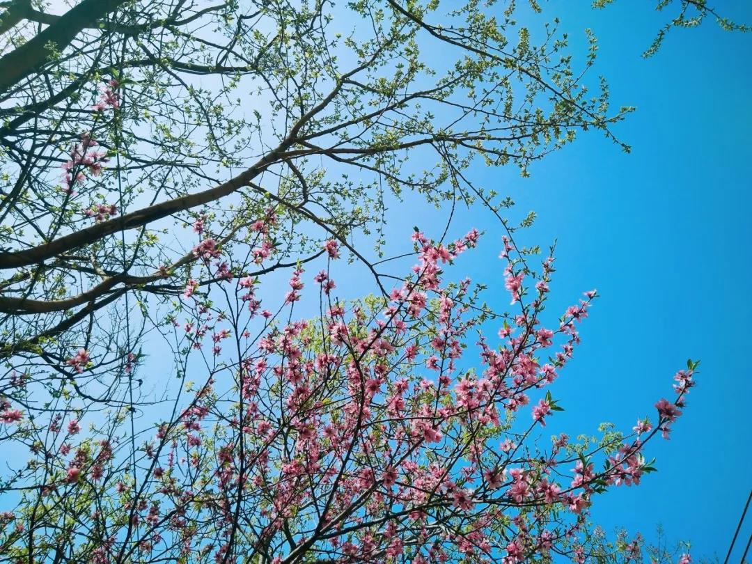元宵节  浮戏山雪花洞祝您节日快乐！