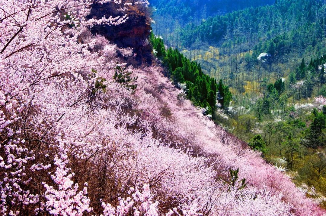 三八女神节，新乡南太行所有景区都是免免免！