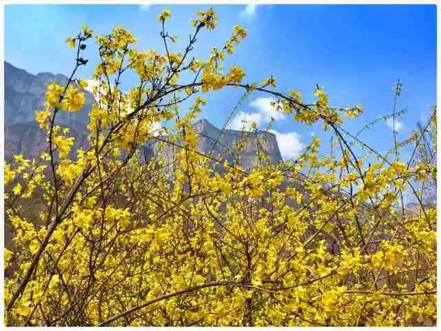 三八女神节，新乡南太行所有景区都是免免免！