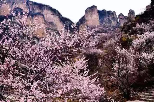 三八女神节，新乡南太行所有景区都是免免免！