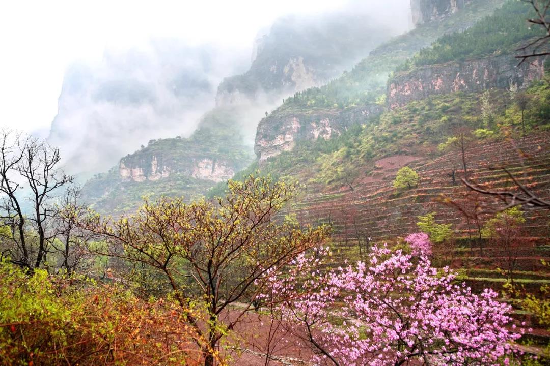 三八女神节，新乡南太行所有景区都是免免免！