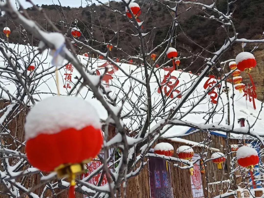 爬山、玩雪、坐索道……趁着天气好，来轿顶山撒欢吧！