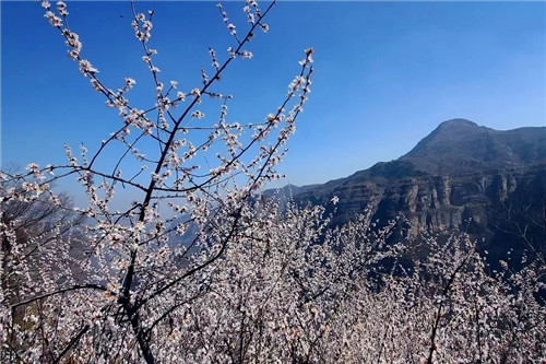 三八女神节 太行大峡谷对所有女士免门票、男士半价优惠